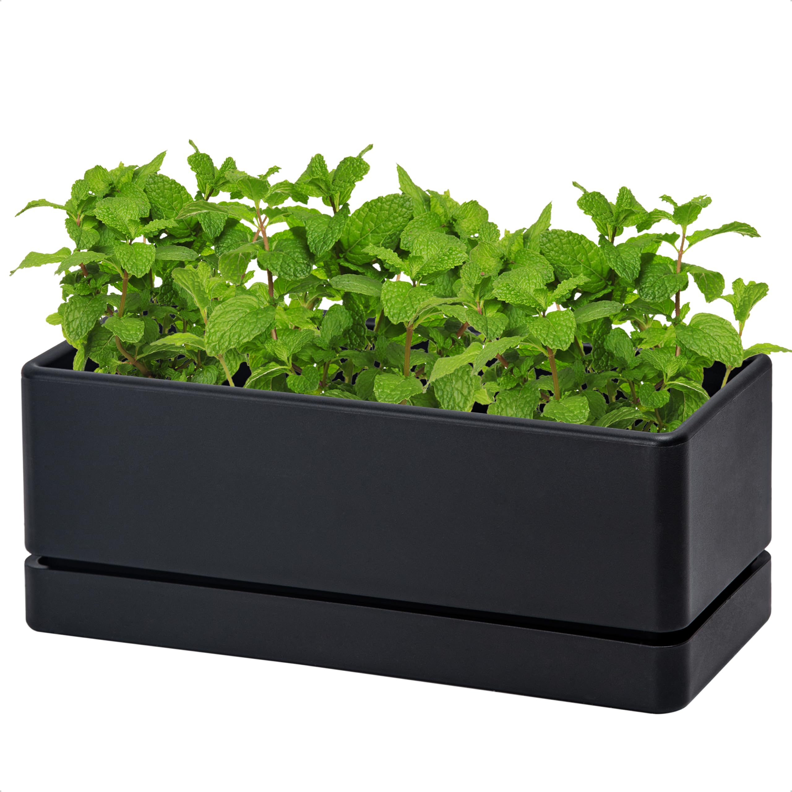 多肉植物棚　TB-IB12 Amazon.com : D'vine Dev 12 Inch Window Box Planter, Rectangle